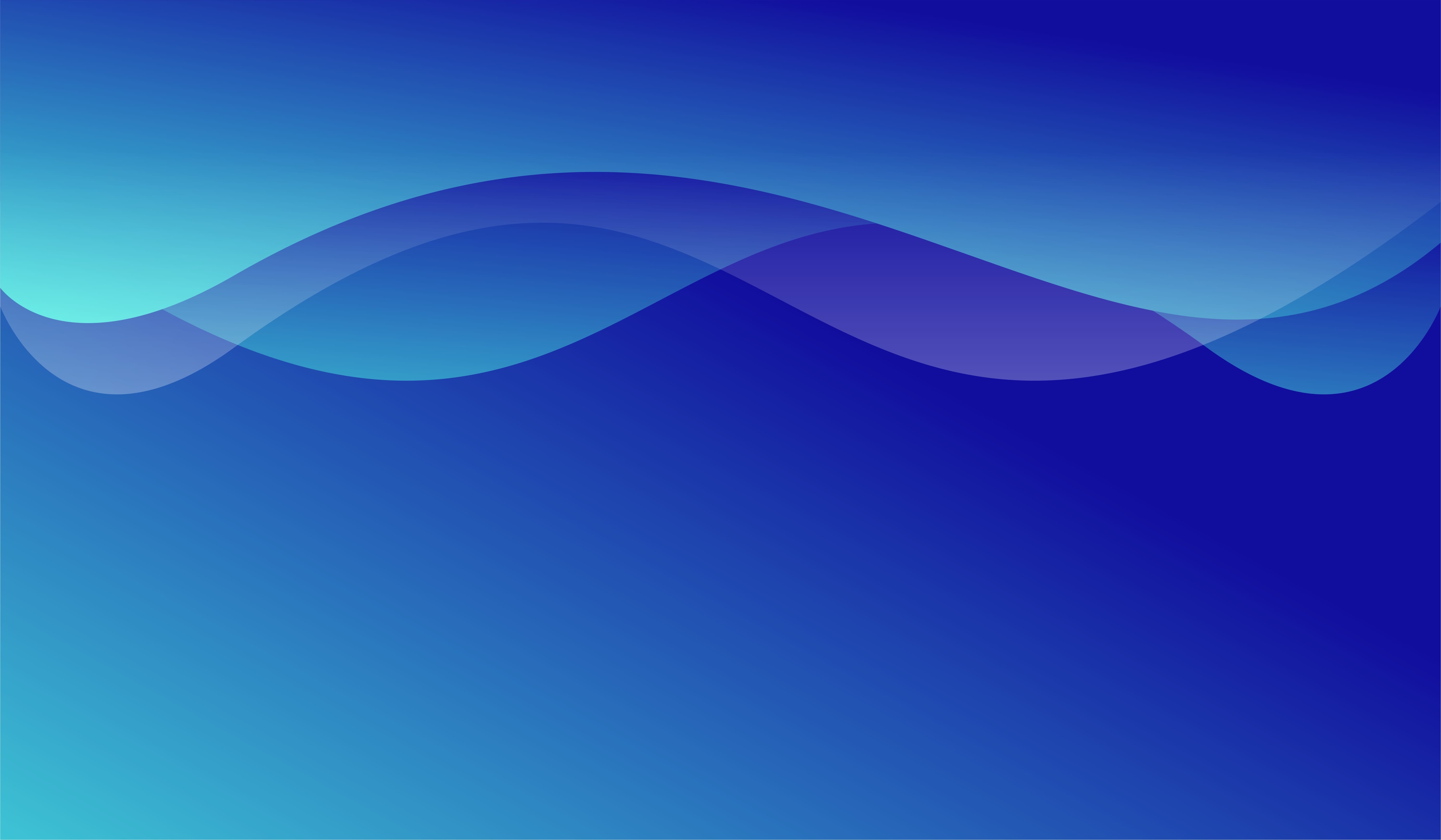 개인 정보 보호 정책